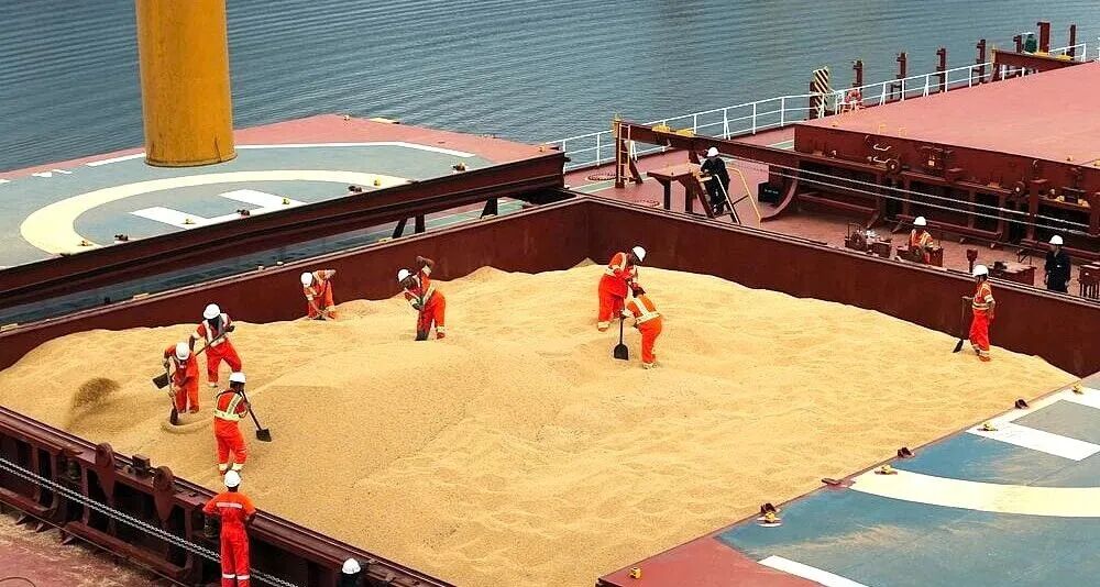 美豆运输“挂零”，巴拿马型船市场最受冲击