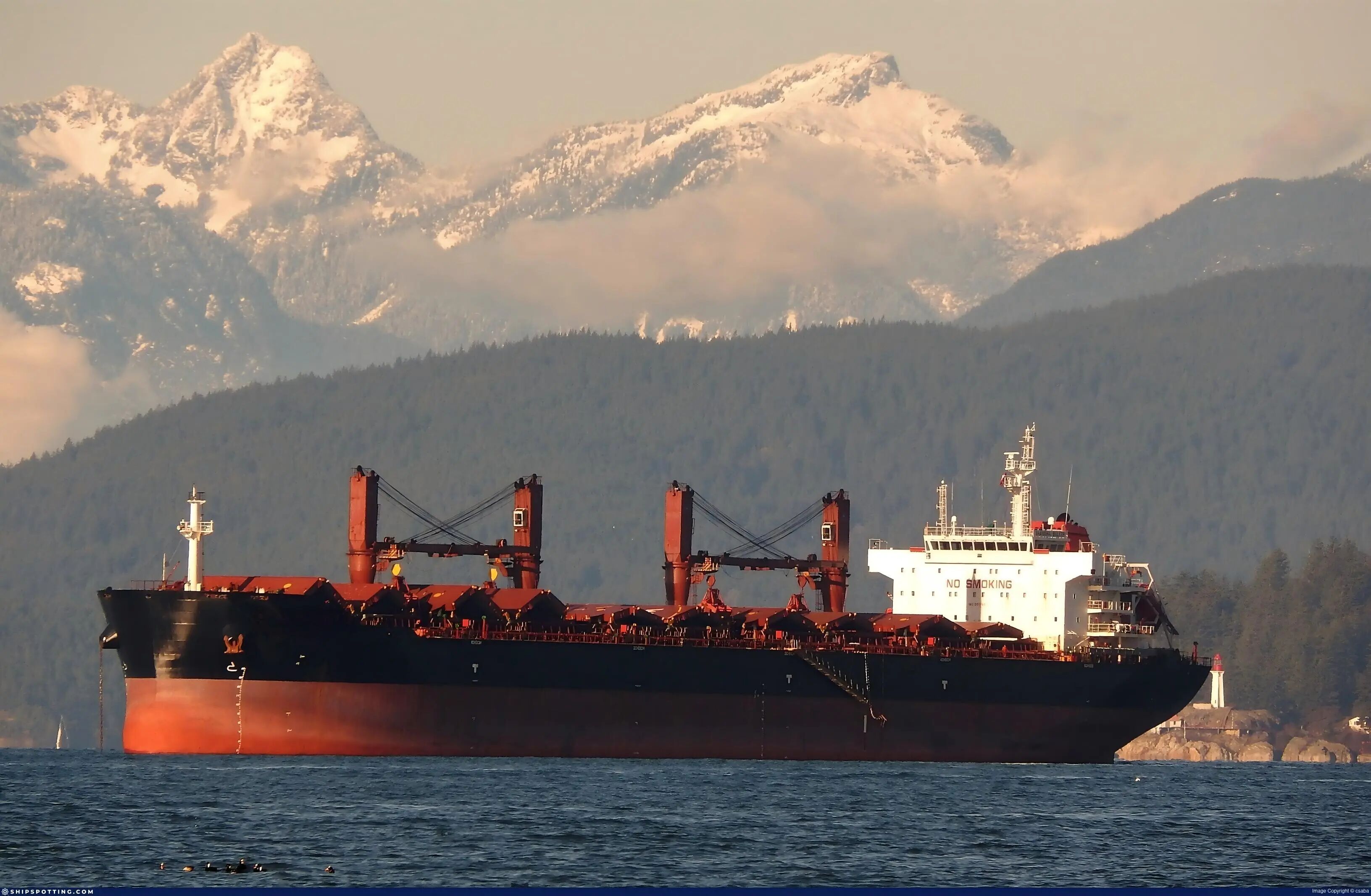 即將告別動盪的2025，幹散貨市場有望回歸基本面！