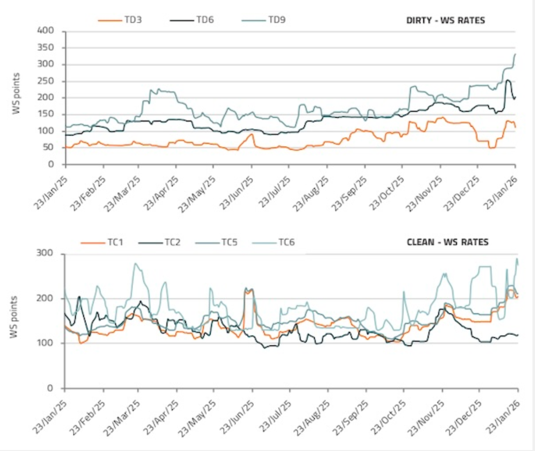 支線集裝箱船需求強勢走強